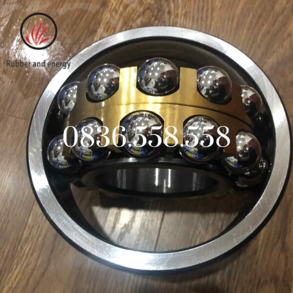 Bạc đạn cầu 2 dãy